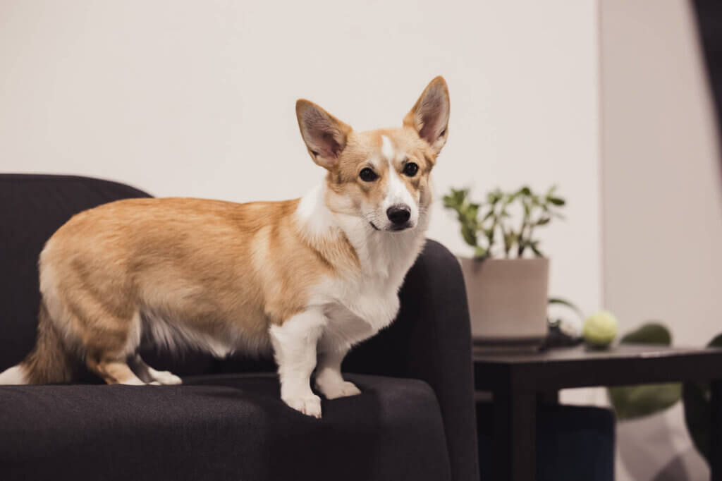 DeltaE - Tiim - vabaaeg