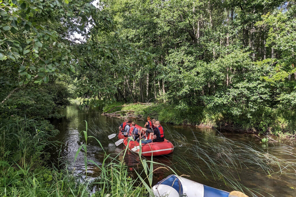 DeltaE - Tiim - vabaaeg